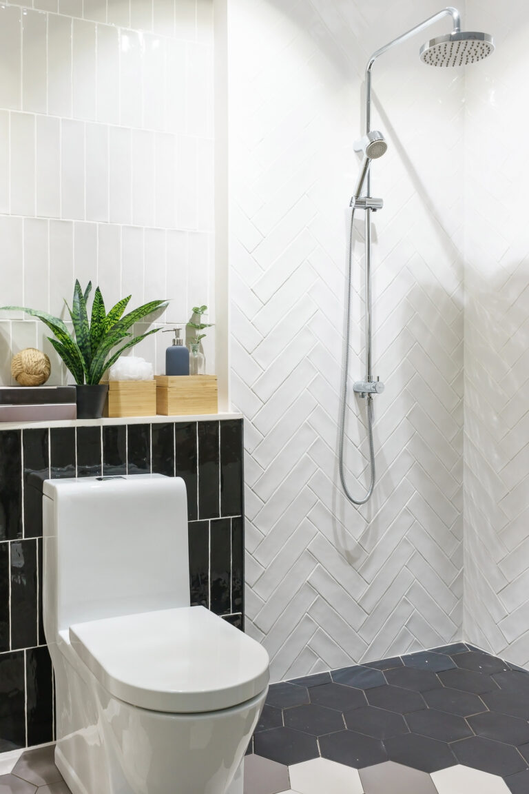 Salle de bains avec carrelage mural en zellige noir et blanc, douche italienne et WC modernes ✅ Légende